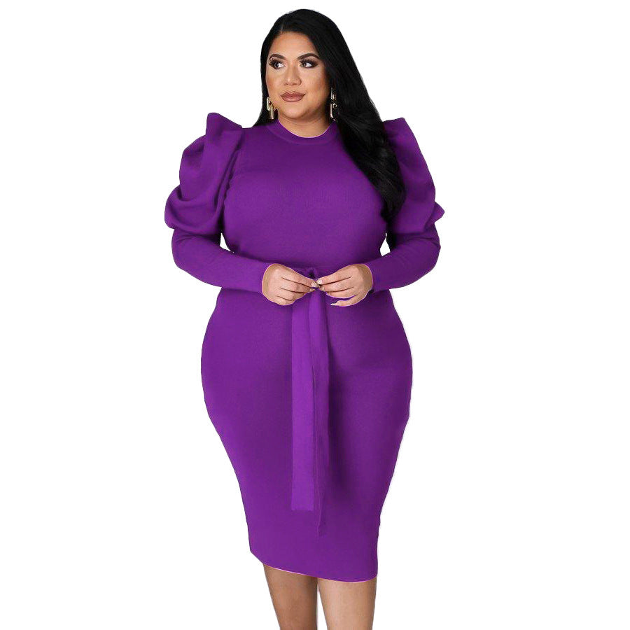 Women's Slim Fit Plus Size Dress