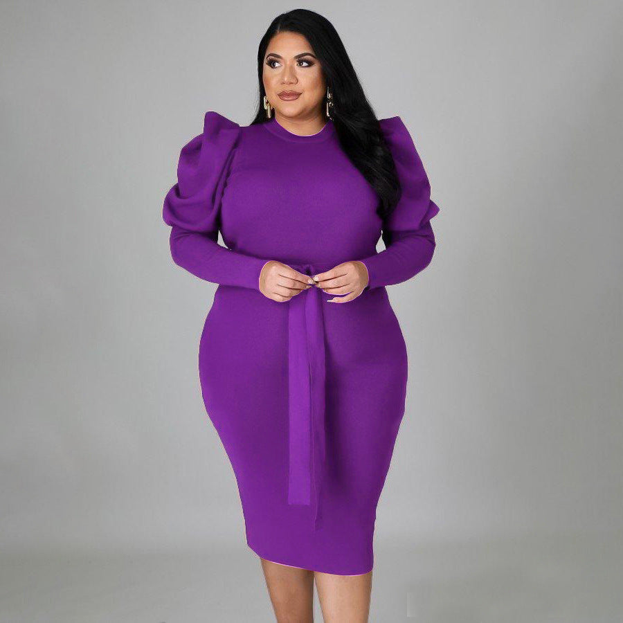 Women's Slim Fit Plus Size Dress