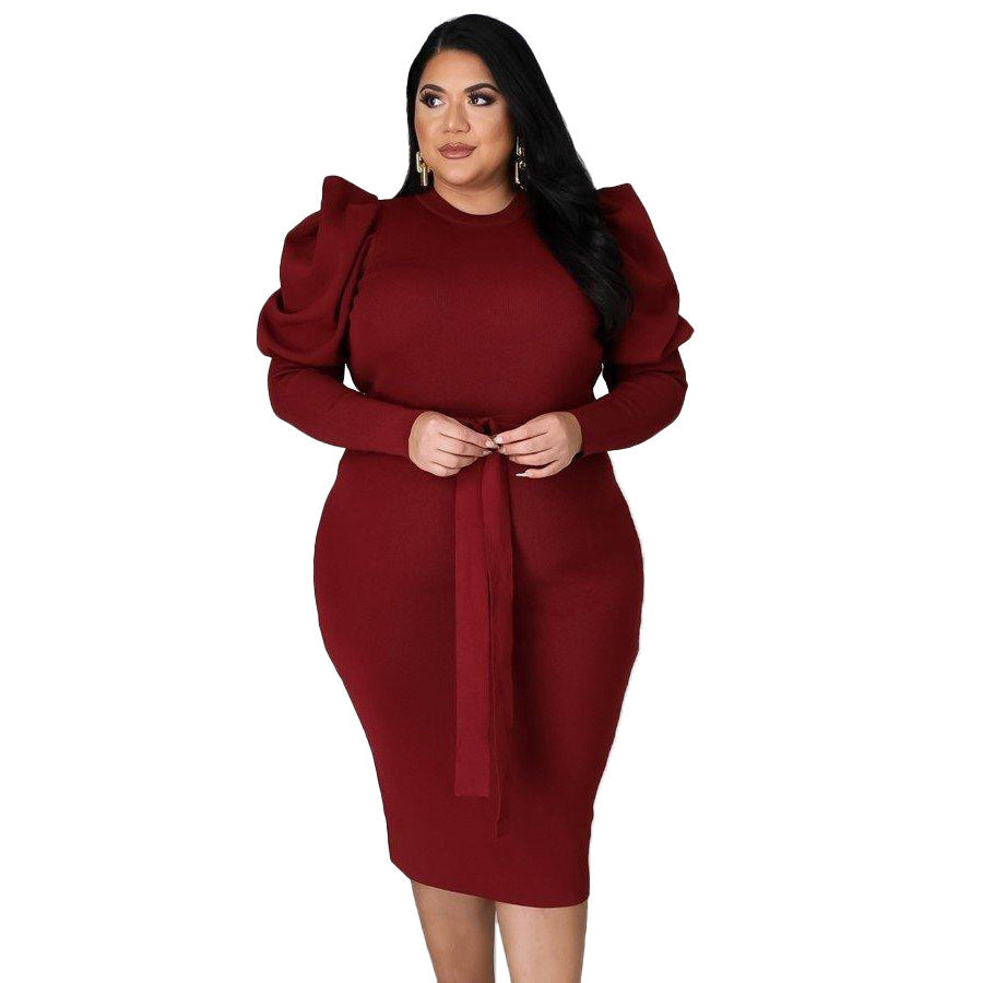 Women's Slim Fit Plus Size Dress